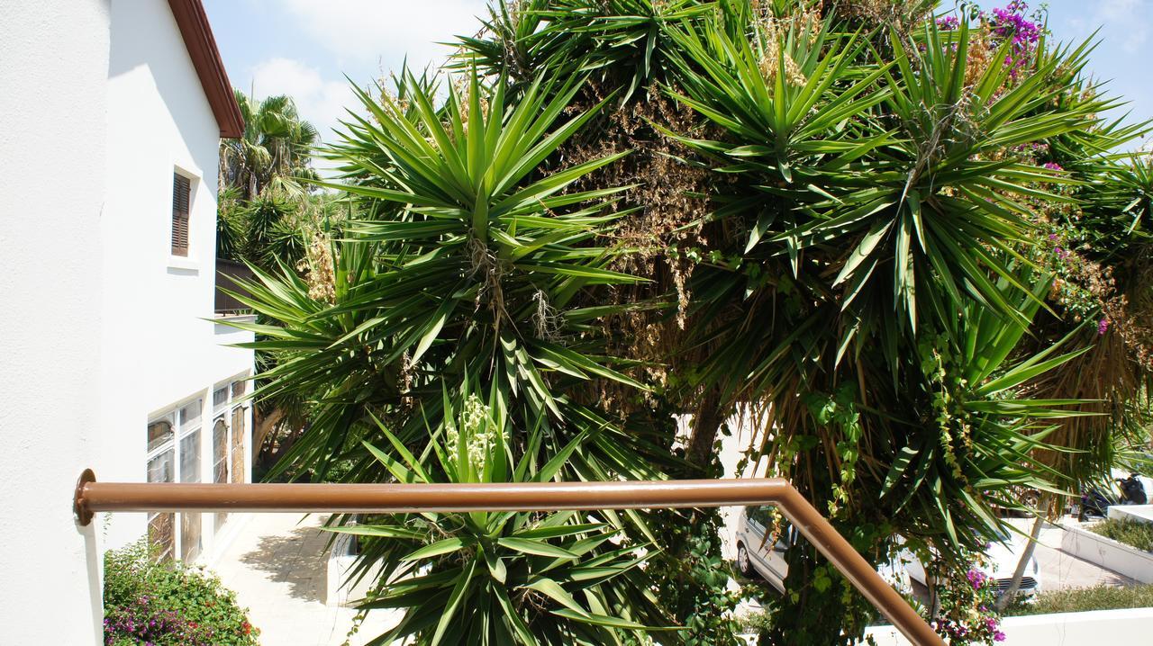 Limnaria Westpark 129 Pafos